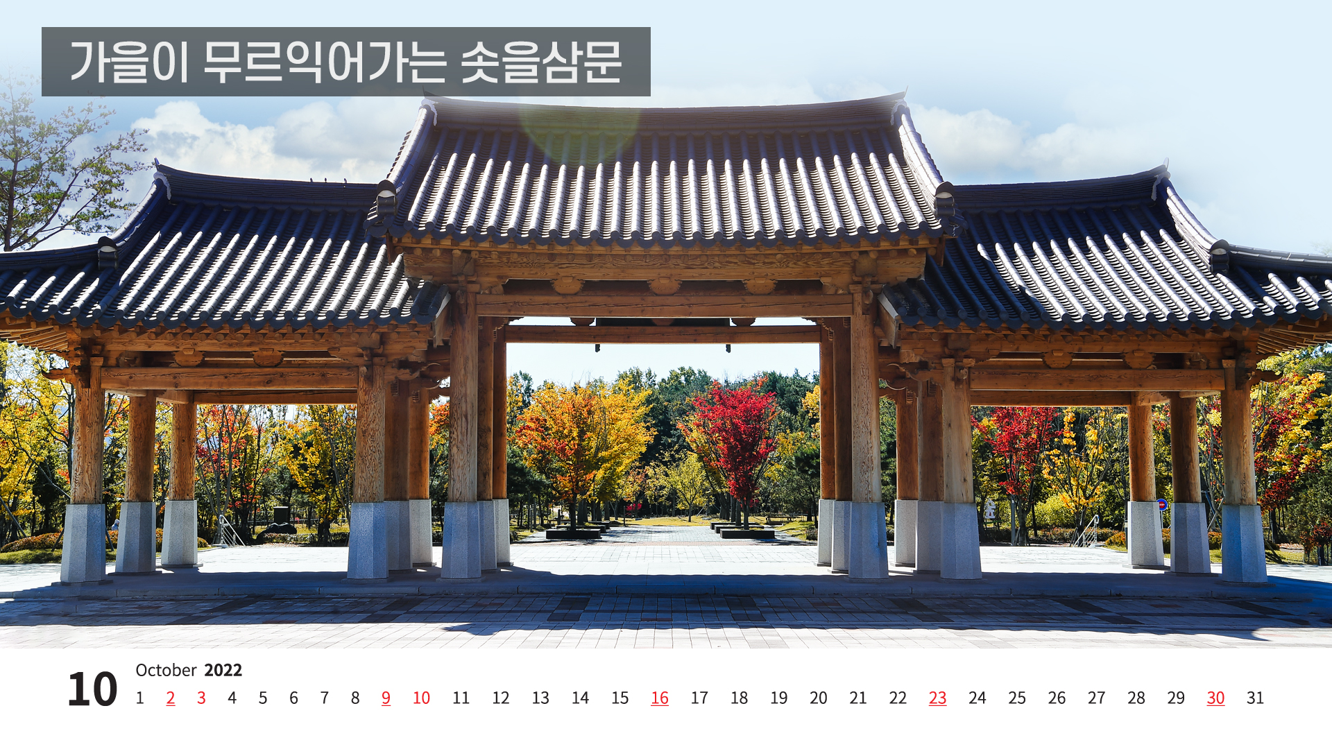 1월_경북 희망의 새해, 도청 일출