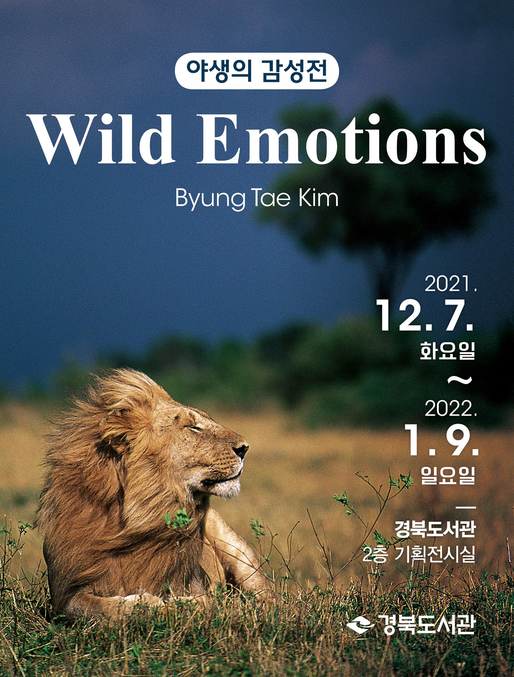 「야생의 감성 Wild Emotions 」 사진전