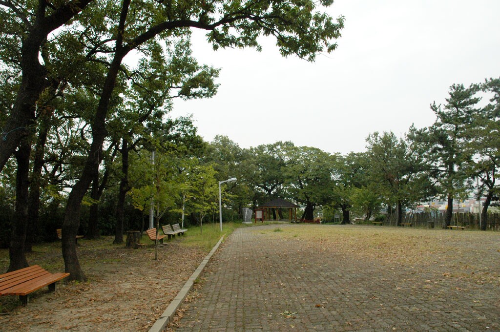 포항 흥해향교 이팝나무 군락_4