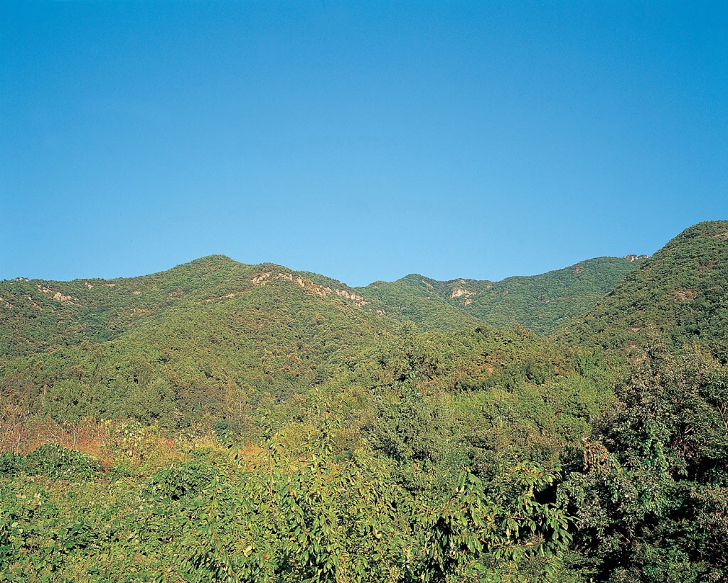 금오산성_2