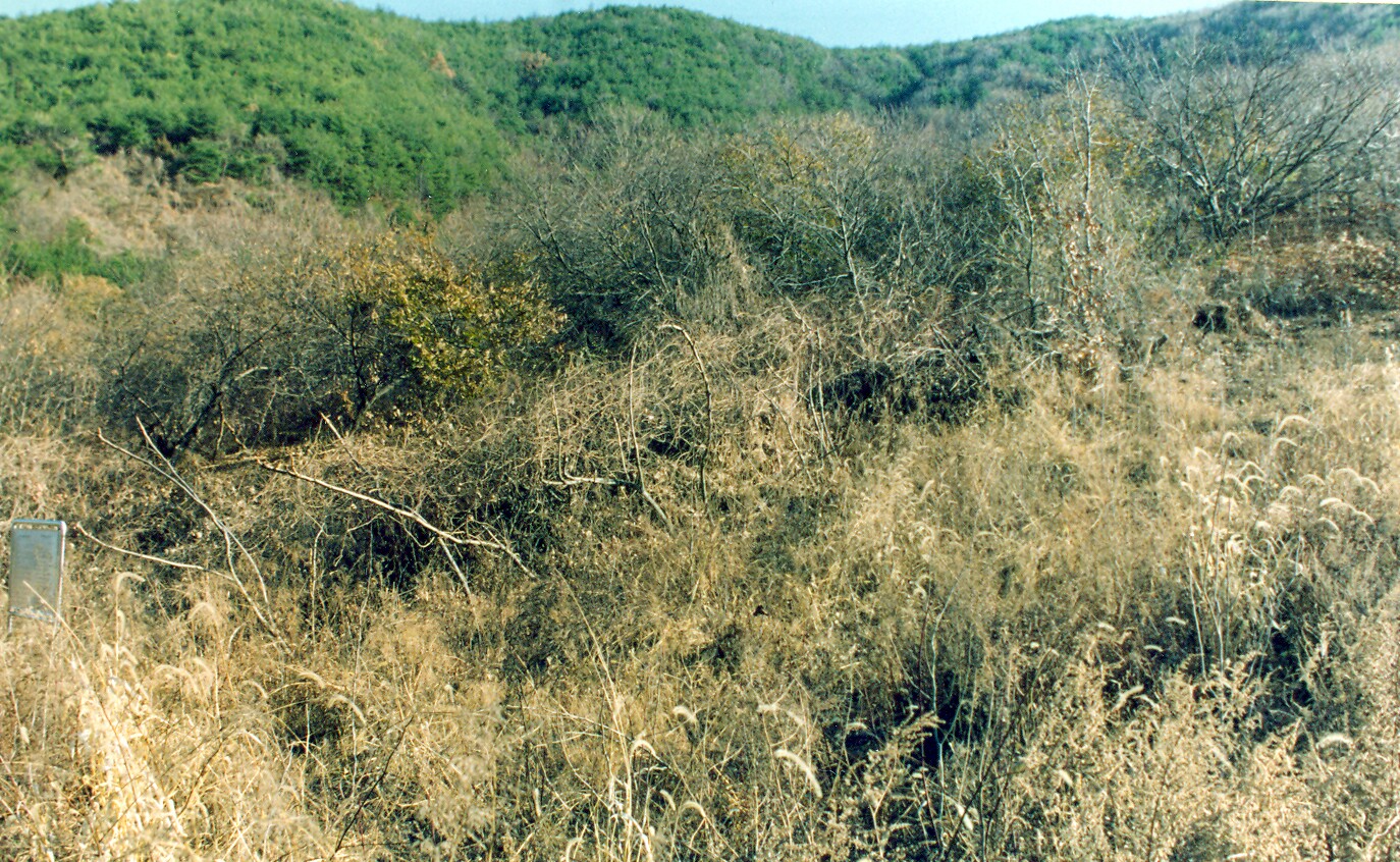 청도 옥산동 토기요지_2