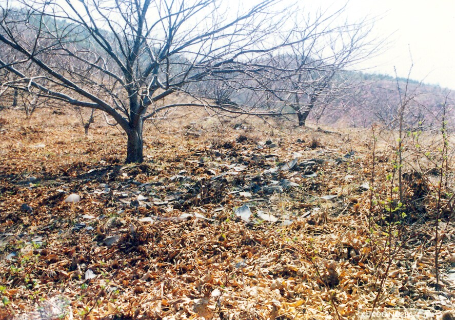청도 옥산동 토기요지_4