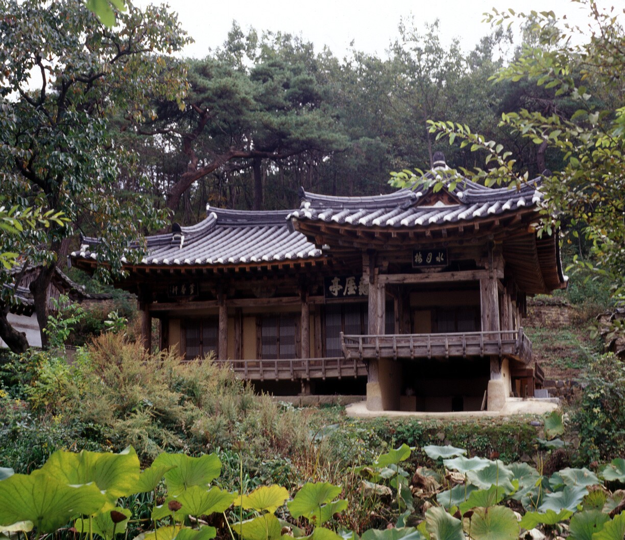 영천 귀애정_1