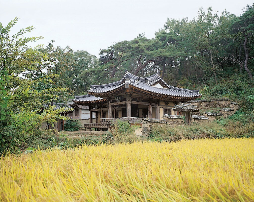 영천 귀애정_26