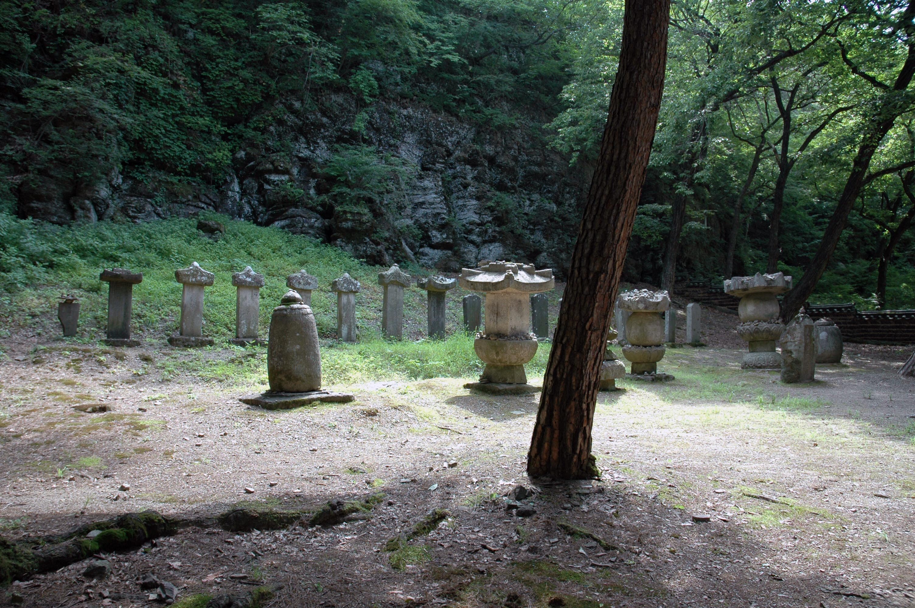 영천 은해사 극락보전_30
